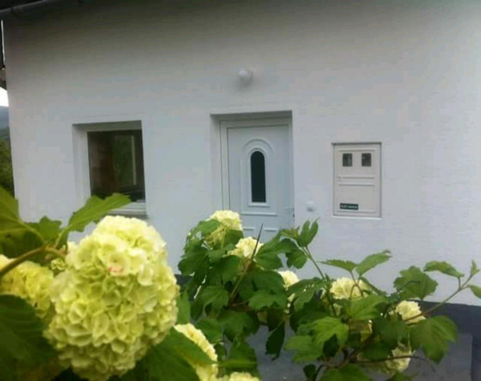 Guest House First Stop Rakovica Exterior foto