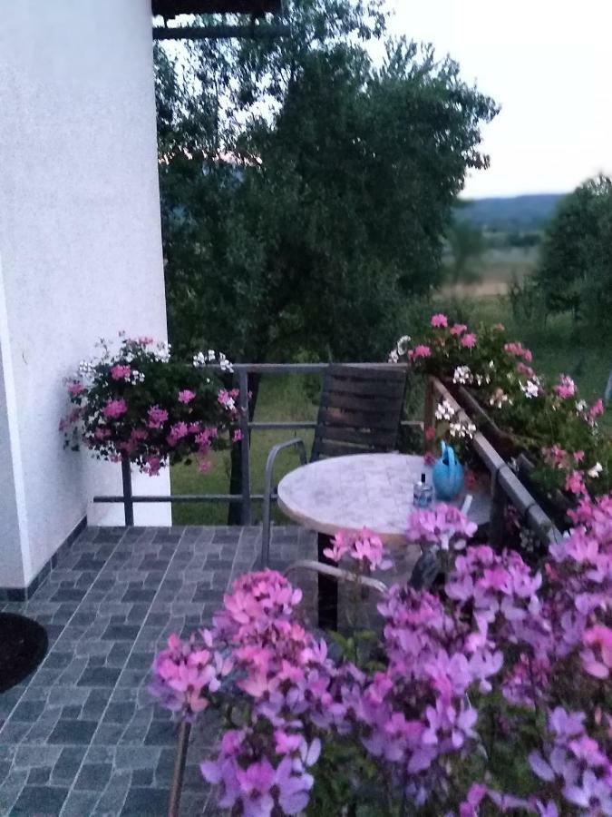 Guest House First Stop Rakovica Exterior foto